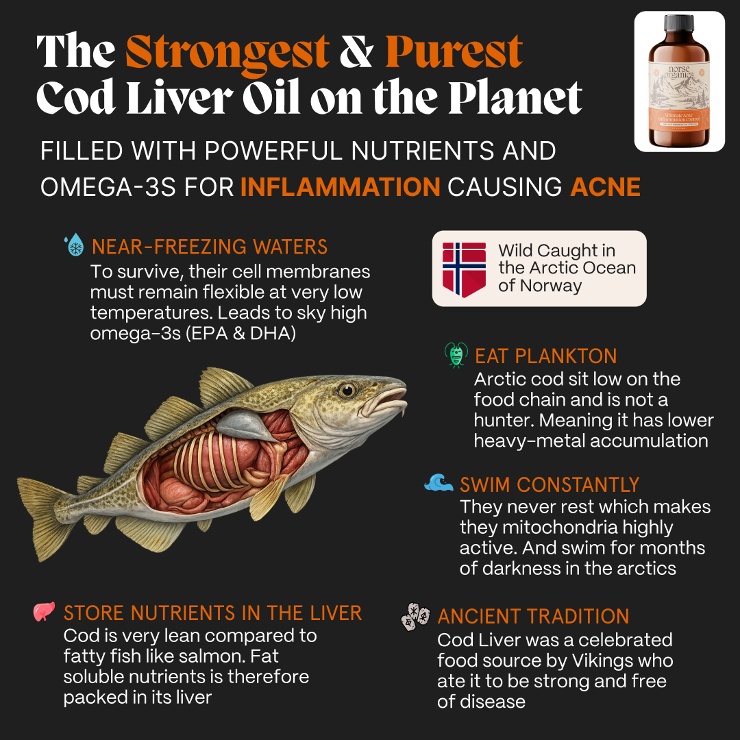 Complete Gut Repair & Hormonal Balance System for Male Acne