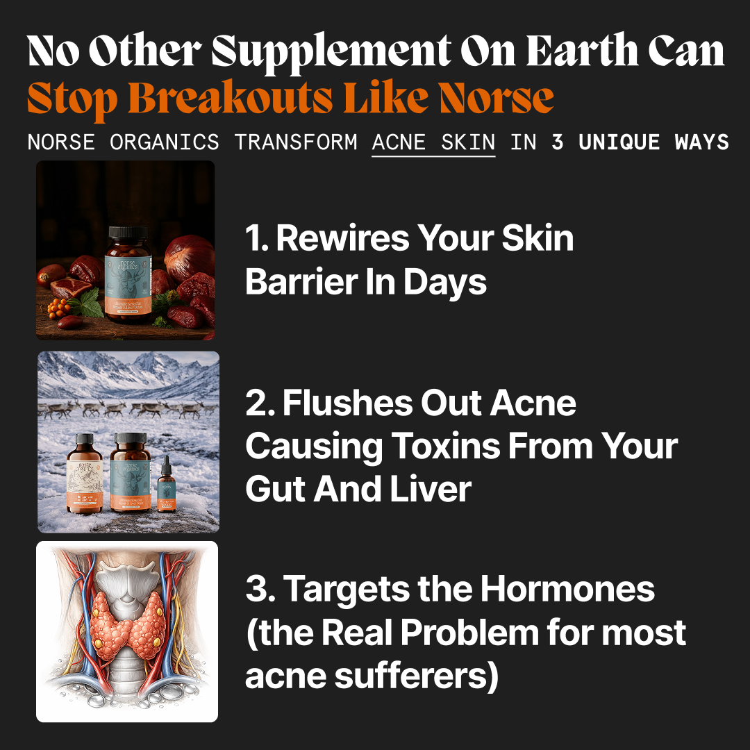 Complete Gut Repair & Hormonal Balance System for Male Acne